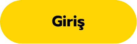 Giriş